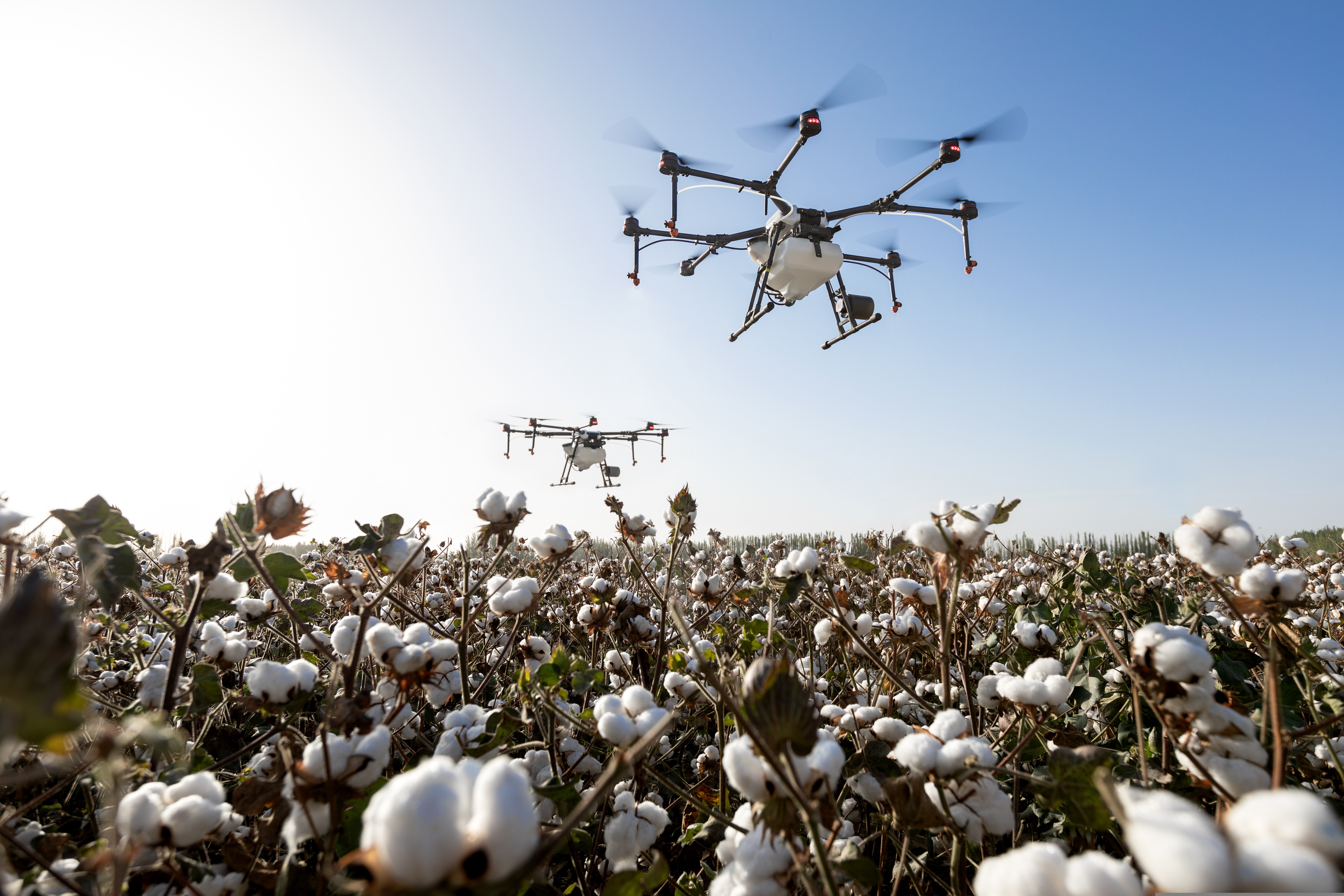AgriTech Research